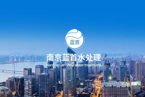 南京蓝首水处理设备有限公司