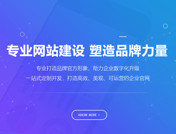 专业网站建设 塑造品牌力量